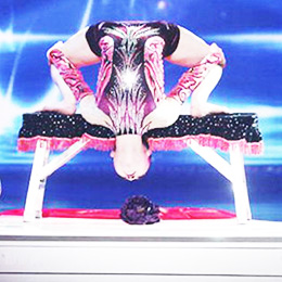 �V�����g(sh��)�񻨱��ݹ�˾