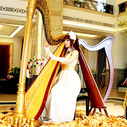 �V���Q�ٱ��ݹ�˾