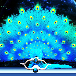 �V��ȸ֮�ٱ��ݹ�˾