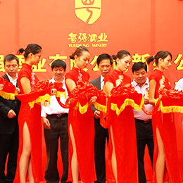 �_�I(y��)�߄�,�_�I(y��)��Ӳ߄�,�V�|,�V��