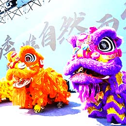 ��{ꠣ��Ѫ{ꠣ���{�F���Ѫ{�F���{��ꠣ��{�ӈF�����{ꠣ����{�F