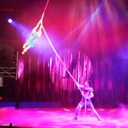 �V��ħ�g��ˇ��(j��ng)�o��˾,�V���s����ˇ��(j��ng)�o��˾