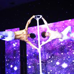 �V��ħ�g�ݳ���(j��ng)�o��˾,�V���s���ݳ���(j��ng)�o��˾