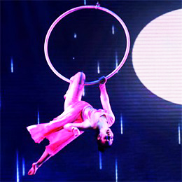 �V��ħ�g�ݳ���(j��ng)�o��˾,�V���s���ݳ���(j��ng)�o��˾