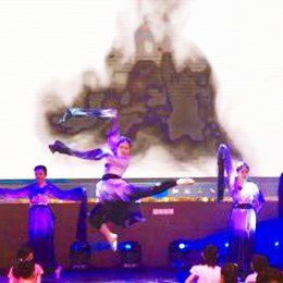 �V���赸��ˇ���o��˾