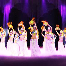 ���Џ����赸����Ƥ�赸��(ji��)Ŀ���V�ݱ��ݽ��o��˾���ݳ���ˇ�����轛�o