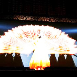 �������������ݳ����o,ȫϢ��(ji��)Ŀ��ӱ��ݽ��o,��ˇ���o